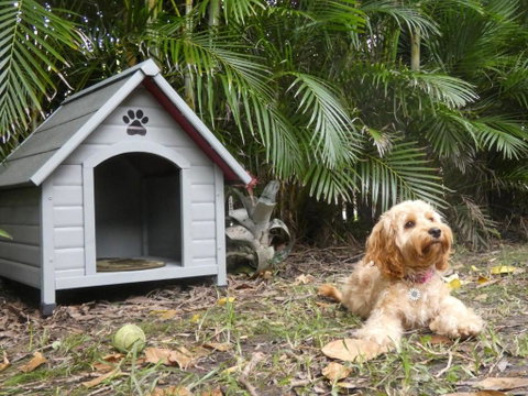 CHILL OUT BEACH HOUSE At FORSTER - Accommodation Redcliffe 3