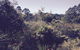 Tallaringa Views - thumb 1
