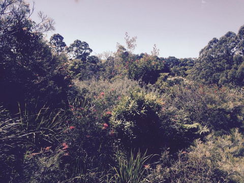 Tallaringa Views - Accommodation Redcliffe 1