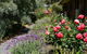 Country Charm Retreat B & B - thumb 1
