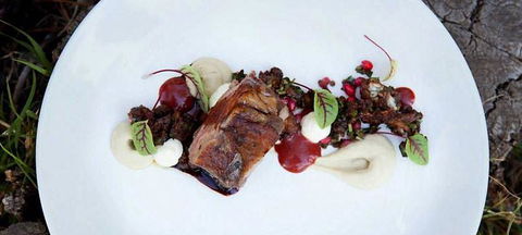 Pod Food - Accommodation Redcliffe 14