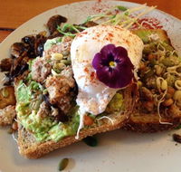 Waratah Organics - Accommodation Redcliffe
