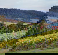 De Bortoli Winery  Restaurant - Accommodation Redcliffe
