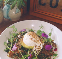 The Shak Organic Cafe  Wine Bar - Accommodation Redcliffe