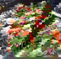 Spuds Fish Moorebank - Accommodation Redcliffe