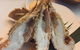 Barnacle Bill's Seafood Inn - thumb 2