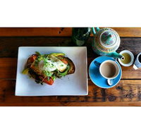 The Purple Carrot - Accommodation Redcliffe