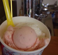 Bermagui Gelati Clinic - Accommodation Redcliffe