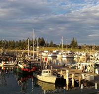 Horse  Camel - Accommodation Redcliffe