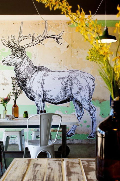 Elk Espresso - Accommodation Redcliffe 0