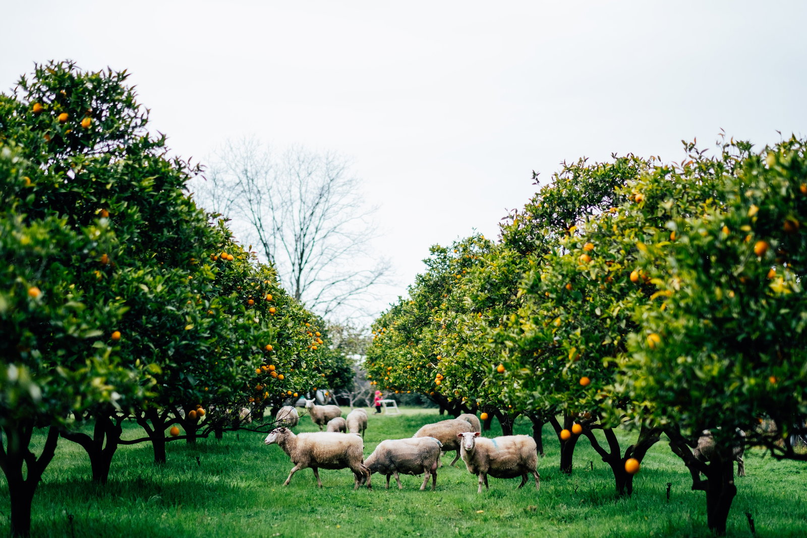  Accommodation Redcliffe