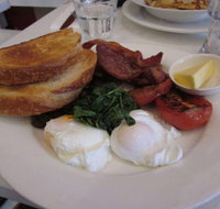 Chicken and Fishhead - Accommodation Redcliffe