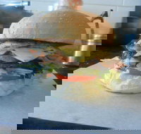 Wombat Cafe  Store - Accommodation Redcliffe