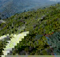 Canopy Cafe - Accommodation Redcliffe