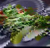 Bellbird - Accommodation Redcliffe