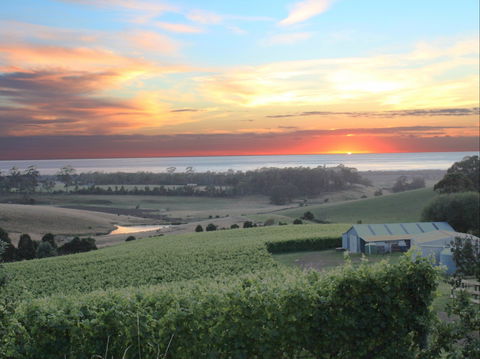 Cape Bernier Vineyard - Accommodation Redcliffe 0