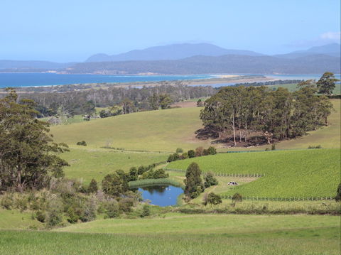 Cape Bernier Vineyard - Accommodation Redcliffe 1