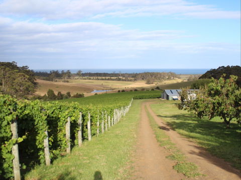 Cape Bernier Vineyard - Accommodation Redcliffe 2