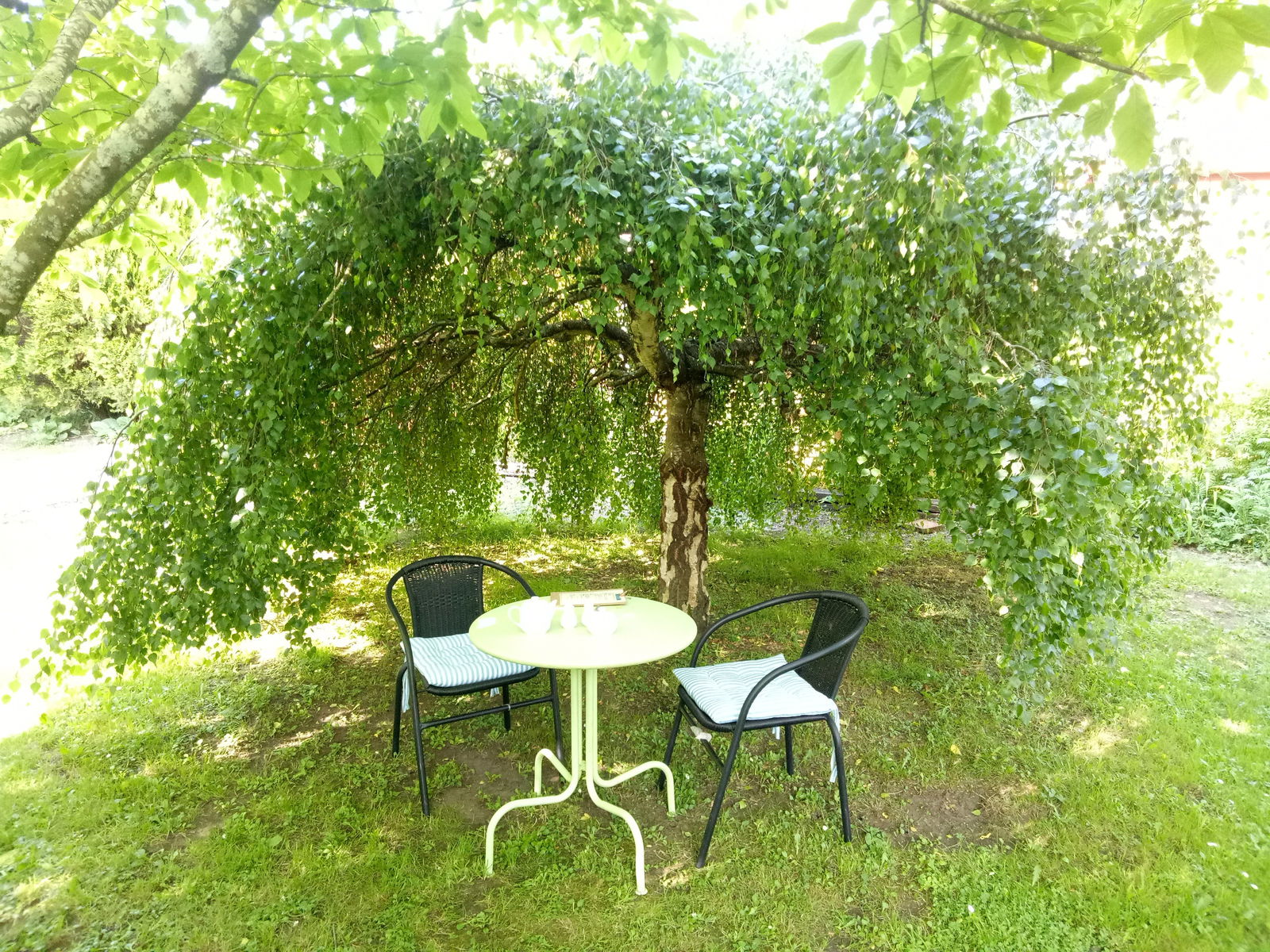 Mole Creek TAS Accommodation Redcliffe