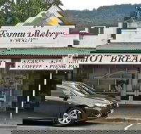 Cheeky Fox - Accommodation Redcliffe