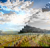 Fallen Giants Vineyard - Accommodation Redcliffe