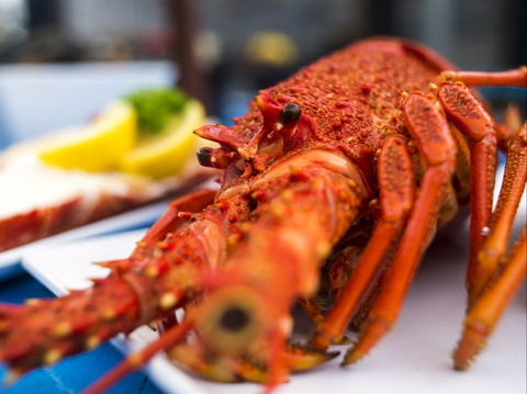 Freycinet Marine Farm - Accommodation Redcliffe 0