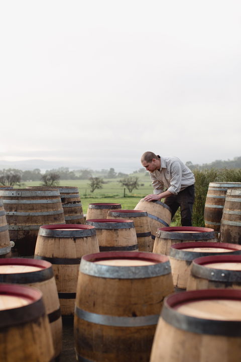 Lark Distillery - Accommodation Redcliffe 2