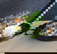 Larder - Accommodation Redcliffe