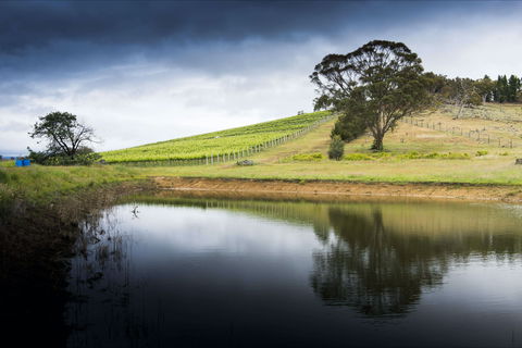 Mount Majura Vineyard - Accommodation Redcliffe 1