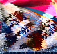 Pier Street Kitchen - Accommodation Redcliffe