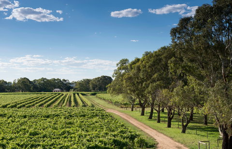 Bleasdale Vineyards - Accommodation Redcliffe 1