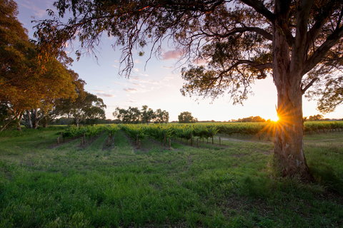 Bleasdale Vineyards - Accommodation Redcliffe 2