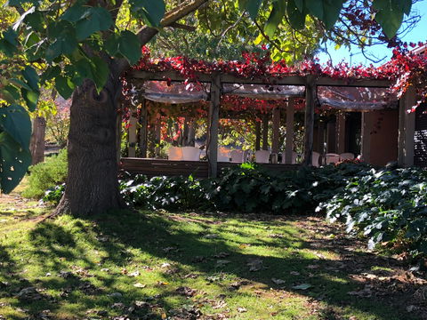 The Pressing Shed Cafe & Restaurant At Nullamunjie Olive Groves - Accommodation Redcliffe 1
