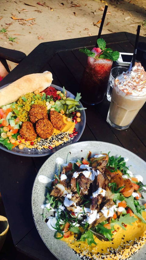Rainforest Cafe Restaurant - Accommodation Redcliffe 0