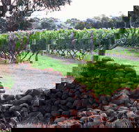 Spring Vale Vineyard - Accommodation Redcliffe