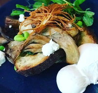Toast Cafe - Accommodation Redcliffe