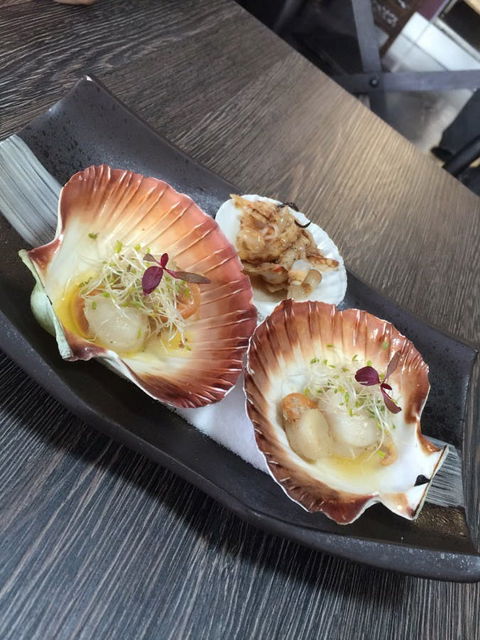 Mizu - Accommodation Redcliffe 0