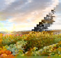 Hahndorf Hill Winery - Accommodation Redcliffe