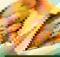 Mrs. Fields - Taylors Lakes - Accommodation Redcliffe