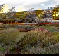 Barossa Valley Estate Cellar Door  Gardens - Accommodation Redcliffe