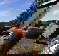 Massena - Accommodation Redcliffe