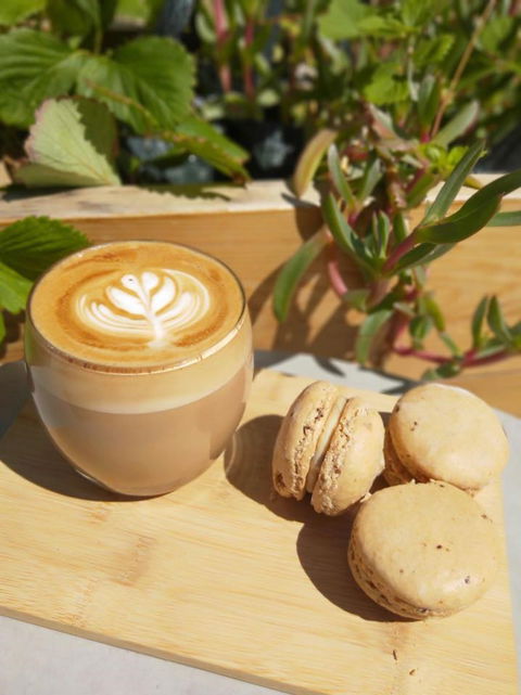Pandesal Bakery - Accommodation Redcliffe 1