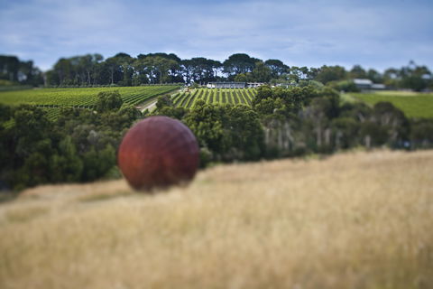 Montalto - Accommodation Redcliffe 2