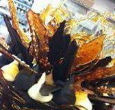 Daily Dose Cafe Wine Bar - Accommodation Redcliffe