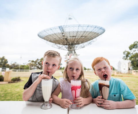 The Dish Cafe - Accommodation Redcliffe 0