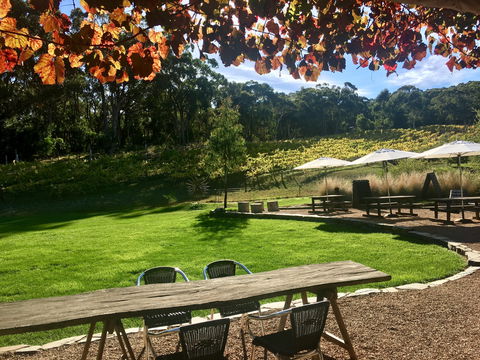 Deviation Road Winery - Accommodation Redcliffe 0