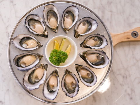 Tarkine Fresh Oysters - Accommodation Redcliffe 2