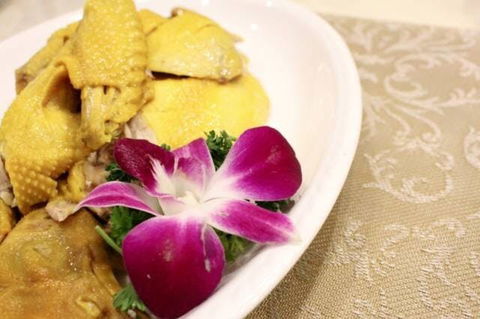 Asian Chef - Accommodation Redcliffe 0