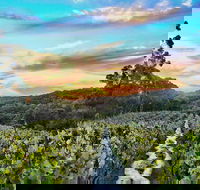Between the Vines Cellar Door - Accommodation Redcliffe