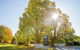 Brown Brothers Milawa Vineyard - thumb 0